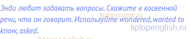 Энди любит задавать вопросы. Скажите в косвенной речи,