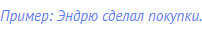 Пример: Эндрю сделал покупки.