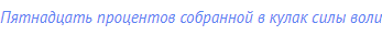 Пятнадцать процентов собранной в кулак силы воли