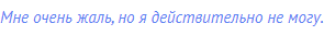 Мне очень жаль, но я действительно не могу.