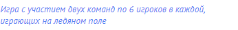 игра с участием двух команд по 6 игроков в каждой,