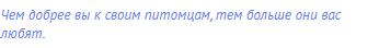 Чем добрее вы к своим питомцам, тем больше они вас
