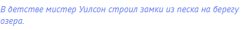 В детстве мистер Уилсон строил замки из песка на