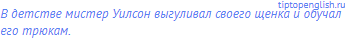 В детстве мистер Уилсон выгуливал своего щенка и