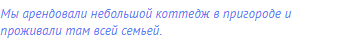 Мы арендовали небольшой коттедж в пригороде и