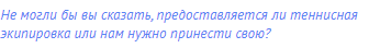 Не могли бы вы сказать, предоставляется ли теннисная