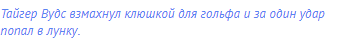Тайгер Вудс взмахнул клюшкой для гольфа и за один удар
