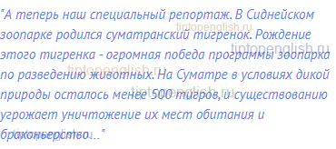 "А теперь наш специальный репортаж. В Сиднейском