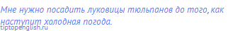 Мне нужно посадить луковицы тюльпанов до того, как