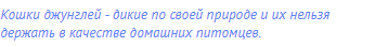 Кошки джунглей - дикие по своей природе и их нельзя