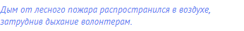 Дым от лесного пожара распространился в воздухе,