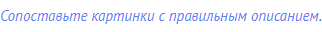 Сопоставьте картинки с правильным описанием.