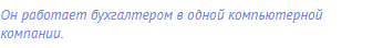 Он работает бухгалтером в одной компьютерной
