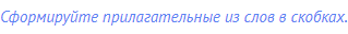 Сформируйте прилагательные из слов в скобках.