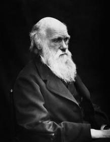 Darwin, Charles (Чарльз Роберт Дарвин)